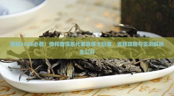 倚邦普洱茶代表