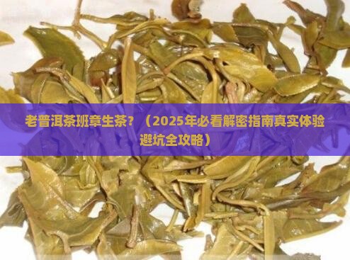 老普洱茶班章生茶