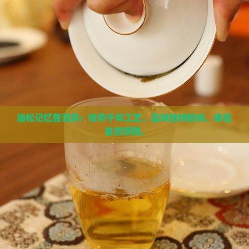 油松记忆普洱茶