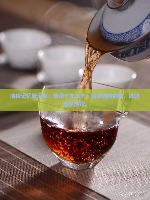 油松记忆普洱茶