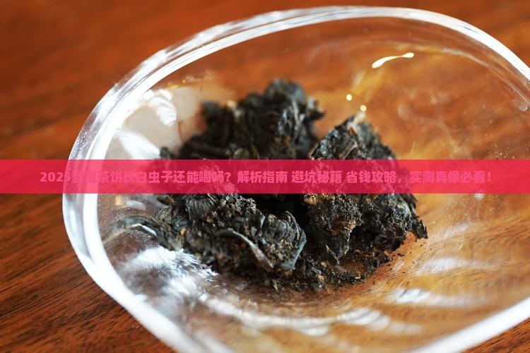 普洱茶饼长白虫子还能喝吗