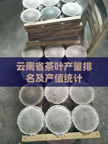 云南省茶叶产量排名