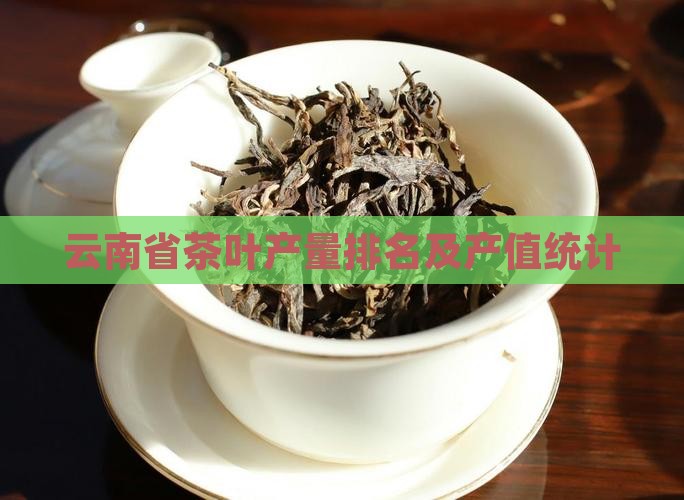 云南省茶叶产量排名