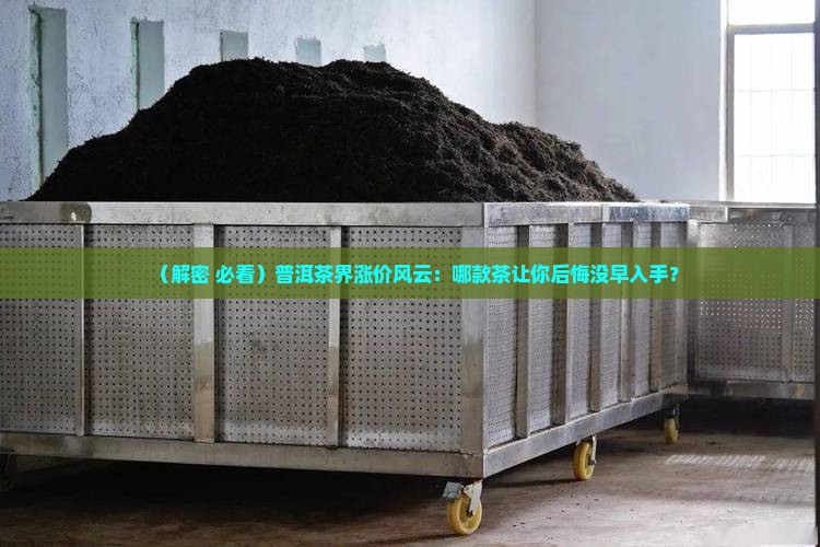 哪款普洱茶涨价最快