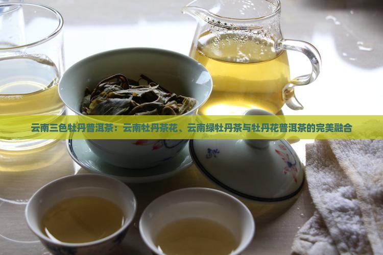 云南三色牡丹普洱茶