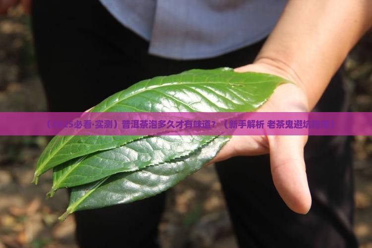 普洱茶泡多久才有味道