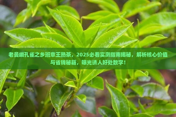 老曼峨孔雀之乡班章王熟茶