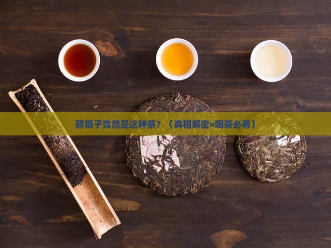 碎银子是属于什么茶类