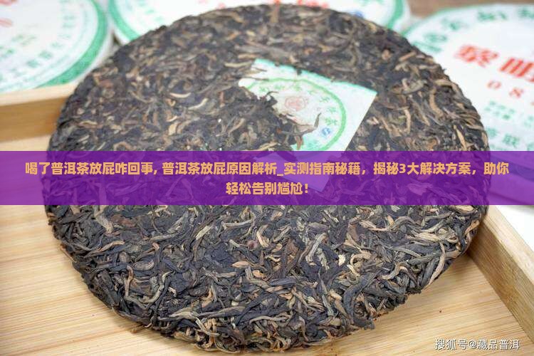 喝了普洱茶放屁咋回事