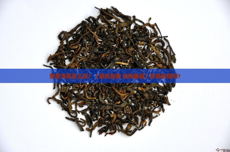 熟普洱茶怎样买着喝才好