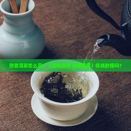 熟普洱茶怎样买着喝才好