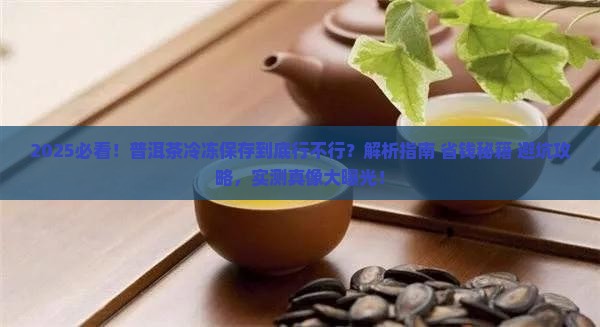 普洱茶可以冷冻保存