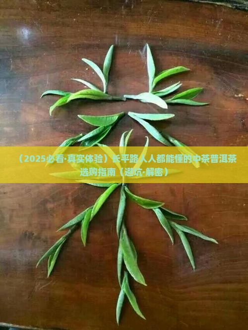 长平路中茶普洱茶专卖店