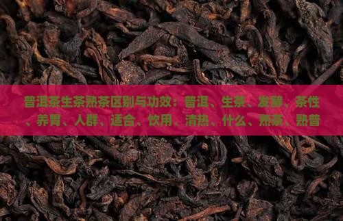普洱茶生茶熟茶区别与功效