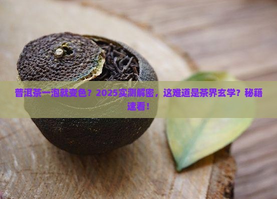 普洱茶一泡就变色