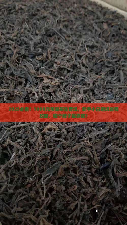 1000元左右的生普洱茶推荐