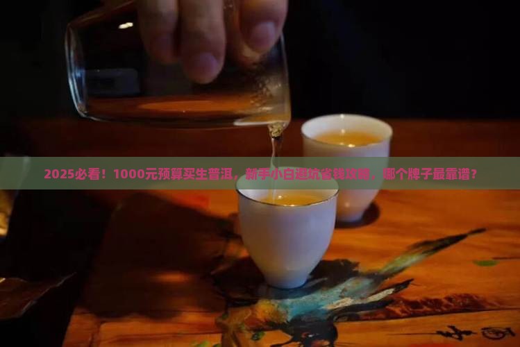 1000元左右的生普洱茶推荐