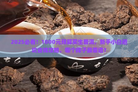 1000元左右的生普洱茶推荐