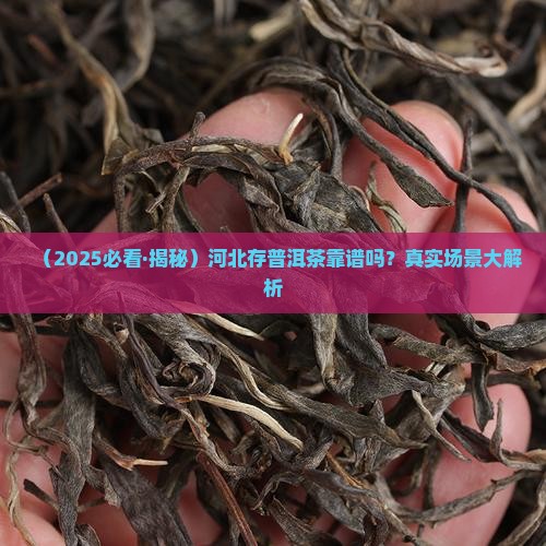 河北适合存放普洱茶吗现在