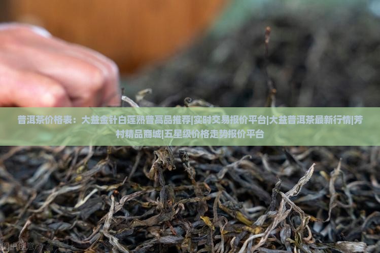 金菩麟普洱茶价格表