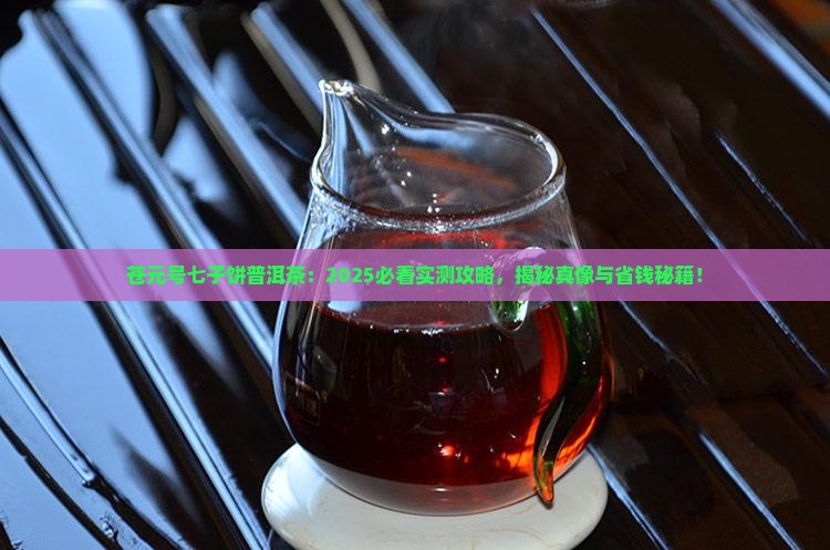 苍元号七子饼普洱茶