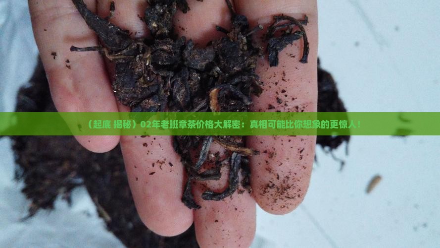02年老班章的价格