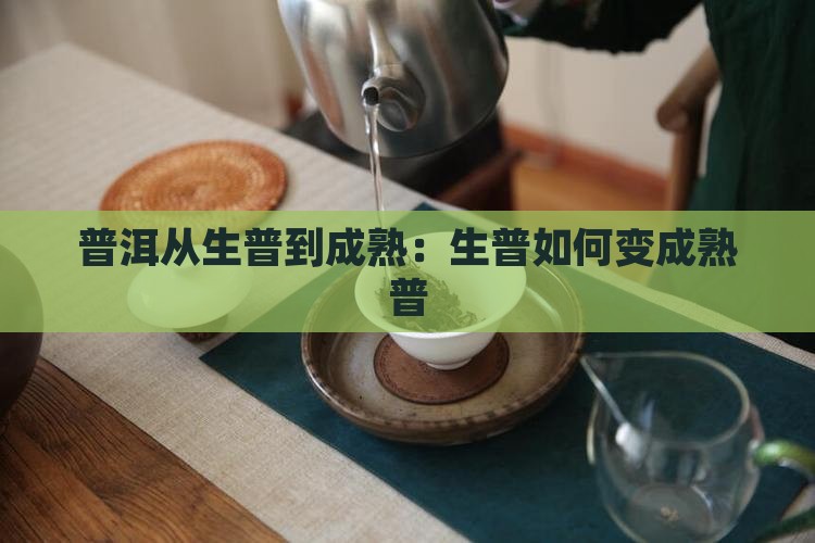 生普洱放成熟普洱茶