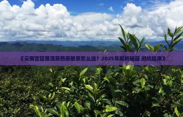 云南宫廷普洱茶熟茶散茶