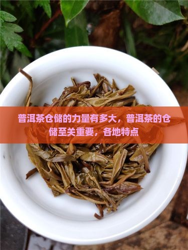 普洱茶仓储的力量有多大