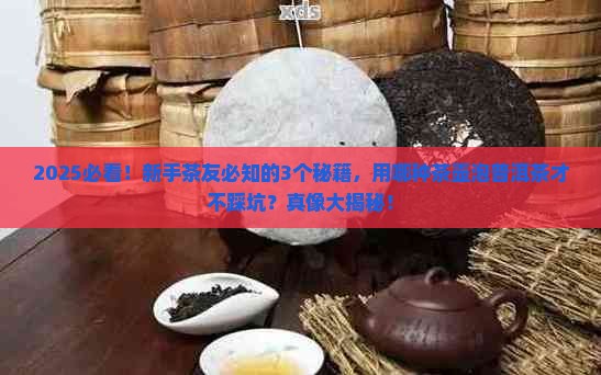 普洱茶用哪种茶壶冲泡比较好