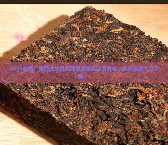 薄荷塘头春易武普洱茶生茶