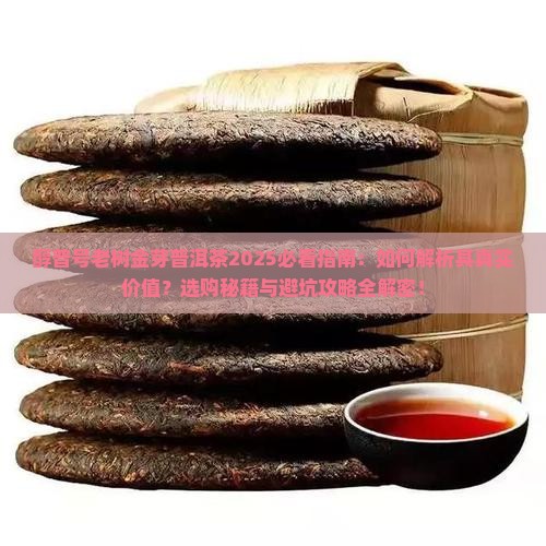 醇普号老树金芽普洱茶