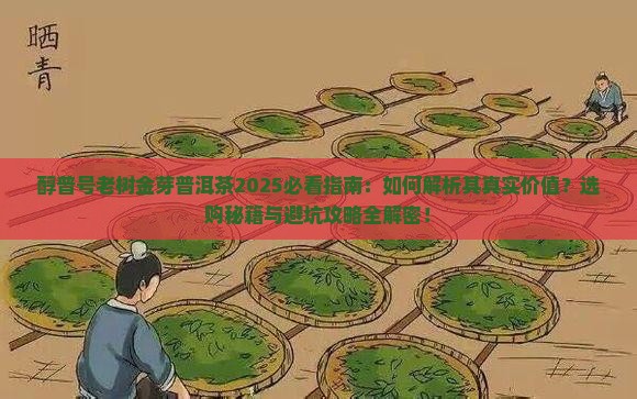 醇普号老树金芽普洱茶