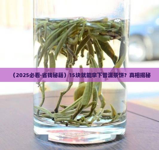 15块普洱茶饼