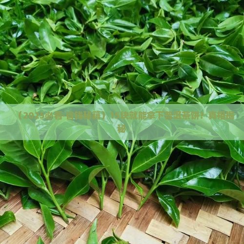 15块普洱茶饼