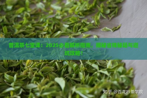 普洱茶七堂课教学