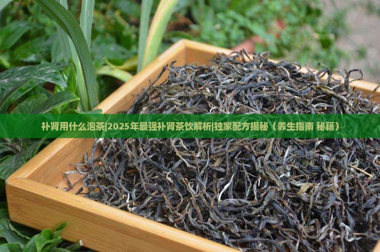 补肾用什么泡茶