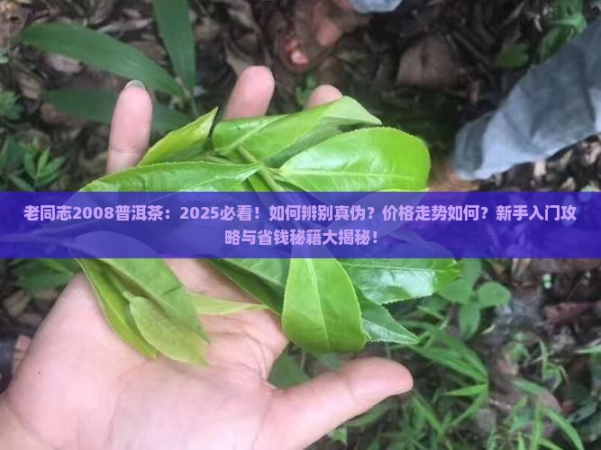 老同志2008普洱茶