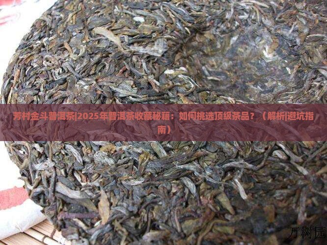芳村金斗普洱茶