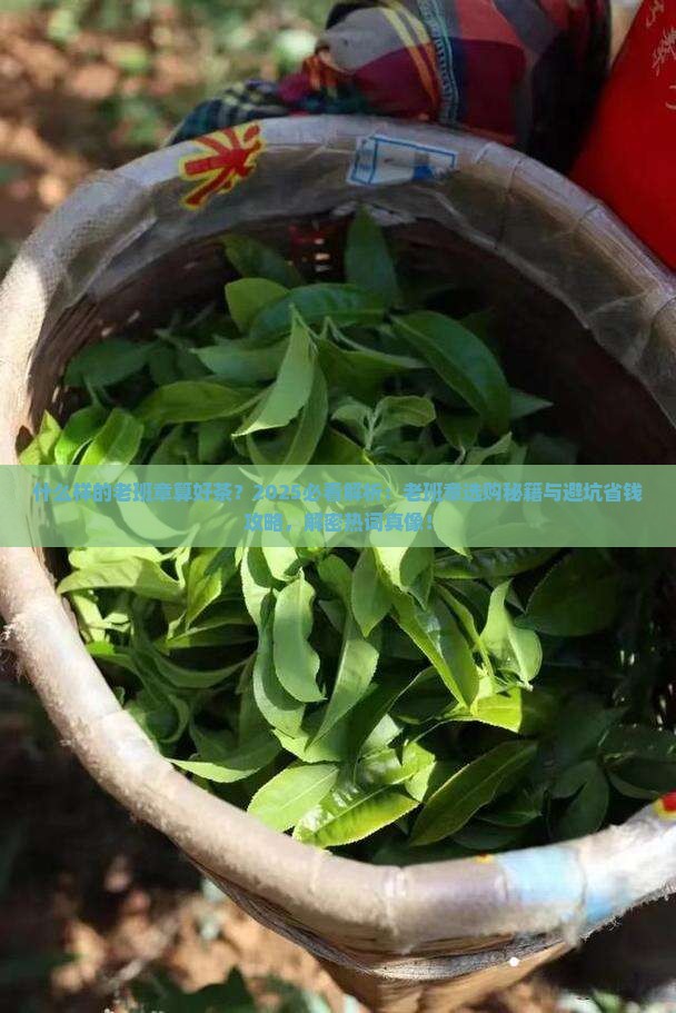 什么样的老班章算好茶