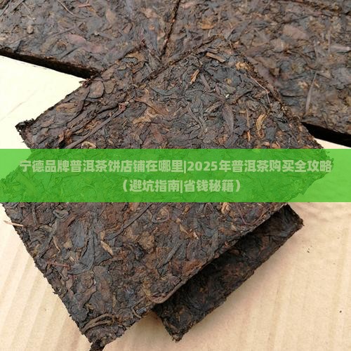宁德品牌普洱茶饼店铺在哪里