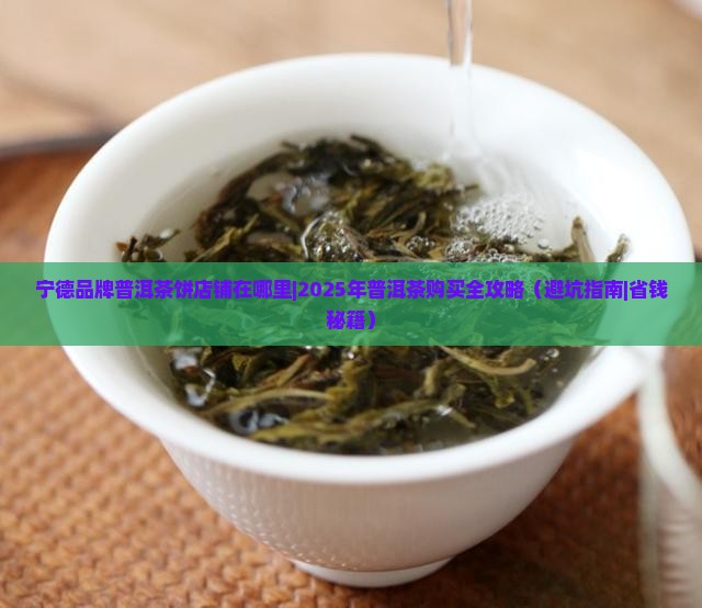宁德品牌普洱茶饼店铺在哪里