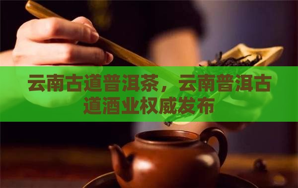 云南古道普洱茶