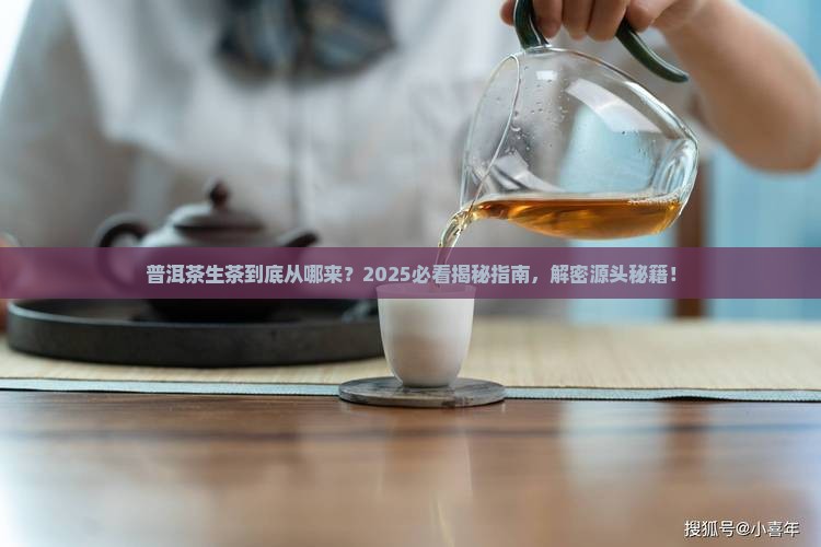普洱茶生茶的来源