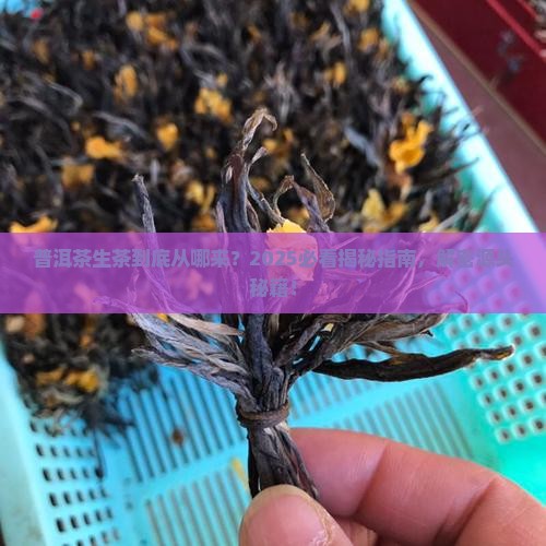 普洱茶生茶的来源