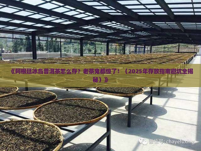 阿根廷冰岛普洱茶存放