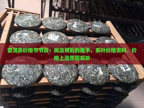 普洱茶价格节节高
