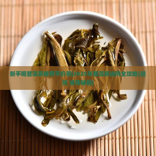 新手喝普洱茶推荐平价茶 新手喝普洱茶推荐平价茶