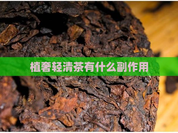 植奢轻清茶有什么副作用