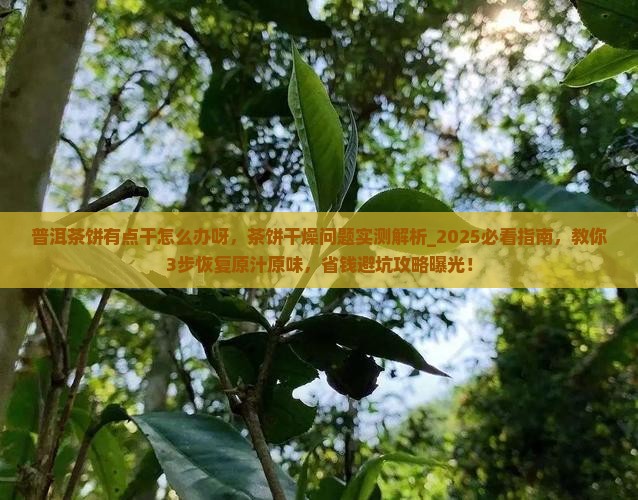 普洱茶饼有点干怎么办呀